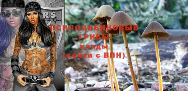 таблы Аркадак