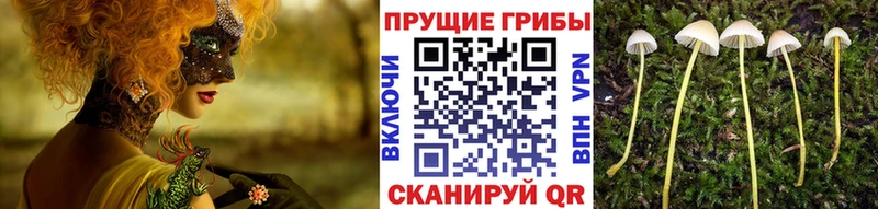 Псилоцибиновые грибы мухоморы  Купить где  Серафимович 